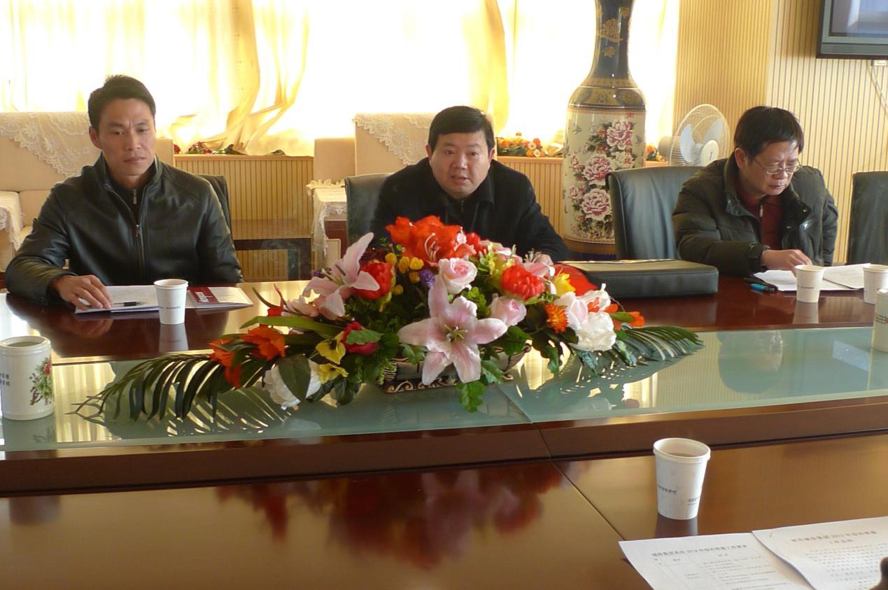 冰球突破-冰球电游奢华版_MG冰球游戏