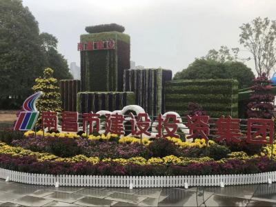 以菊为媒 以花为介 展示服务城市与发展之宗旨——市冰球突破集团参展南昌市第三十四届菊花展